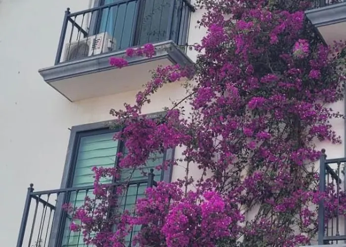 Ocaso Haus - King Penthouse Retreat Apartamento Cabo San Lucas